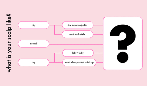 detox collection spotlight: how to achieve a happy + healthy scalp