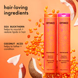 image of the normcore shampoo and conditioner against an orange background surrounded by coconuts ahair-loving ingredients. sea buckthorn helps to nourish and restore lipids in hair. coconut acid helps to lather and condition.".