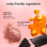 ingredients of amika reset shampoo + conditioner: scalp-friendly ingredients: charcoal + pink clay - helps remove impurities + odors, sea buckthorn - nourishes scalp + strands. 