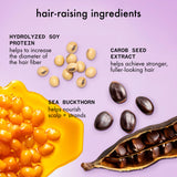 Hair-raising ingredients with soybeans, carob seeds, and sea buckthorn on a purple background