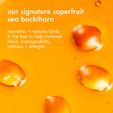text reads: "our signature superfruit sea buckthorn. nourishes +restores lipids in the hair to help increase shine, manageability, softness and strength." 