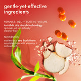 Product infographic with rice starch and sea buckthorn on a red background