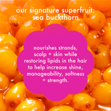 text reads: "our signature superfruit sea buckthorn. nourishes strands, scalp + skin while restoring lipids in the hair to help increase shine, manageability, softness and strength."